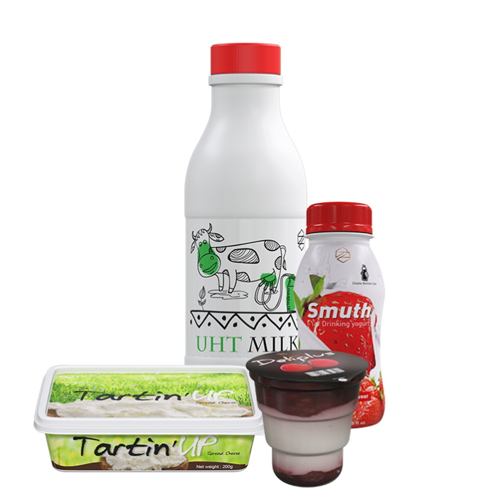 dairy products yogurt
